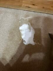 Urine Neutraliser - Image 10