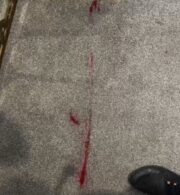 Sample Pack – 12 Advanced Carpet & Upholstery Cleaning Solutions | BrightChem’s Most Powerful Chemistry in One Bundle - Image 8