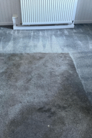 Sample Pack – 12 Advanced Carpet & Upholstery Cleaning Solutions | BrightChem’s Most Powerful Chemistry in One Bundle - Image 4